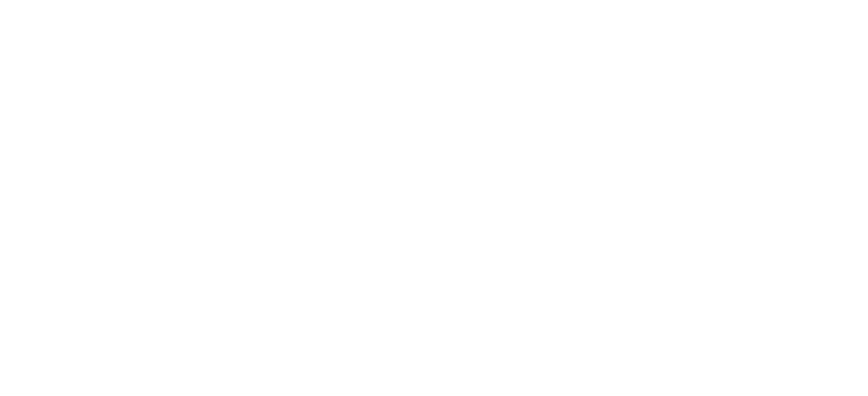 Total Mountain Logo